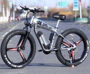 China Wholesale Lightweight Strong and Corrosion Resistant Mountain Bike 1）